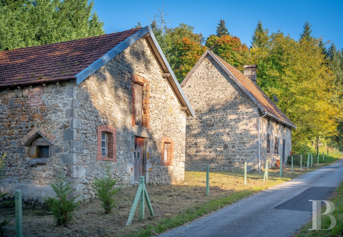 chateaux for sale France limousin   - 23