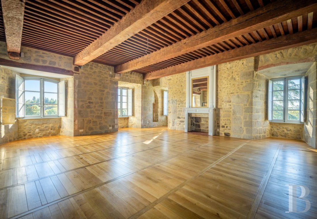 chateaux for sale France limousin   - 16