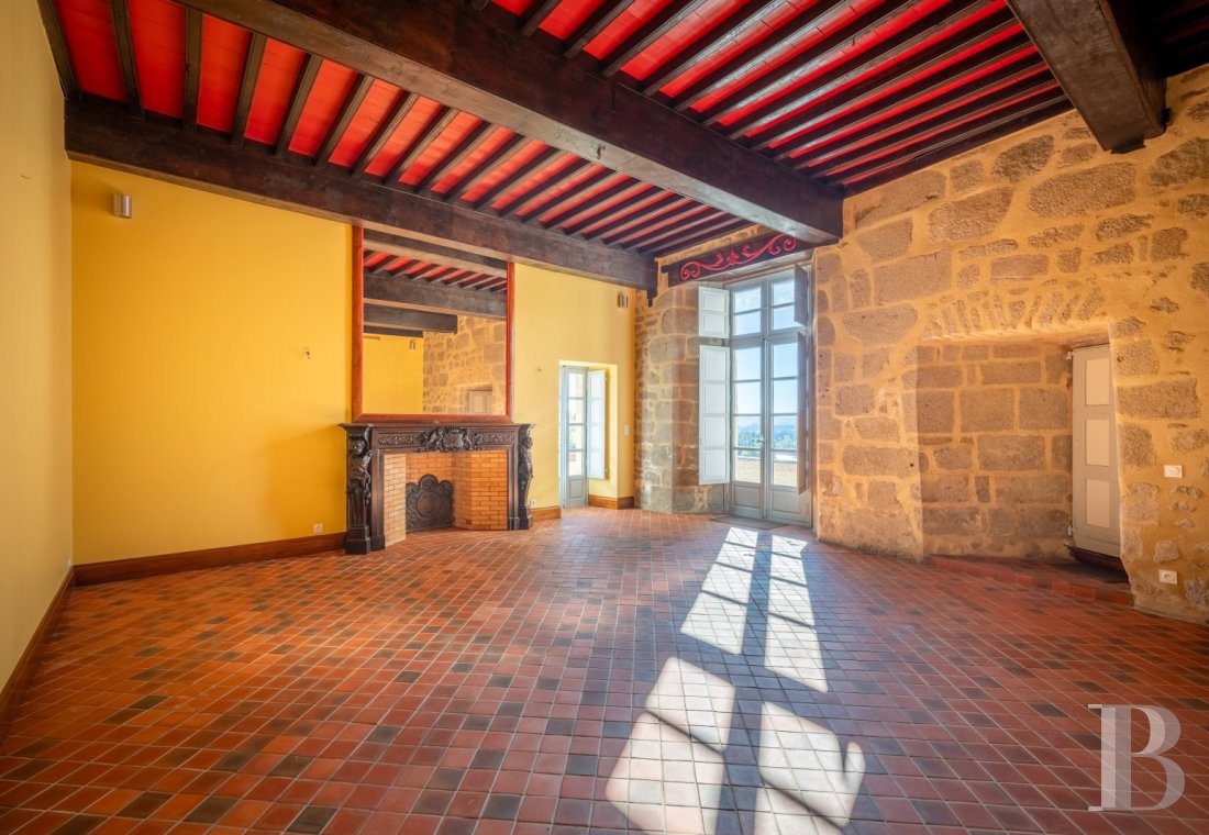 chateaux for sale France limousin   - 7