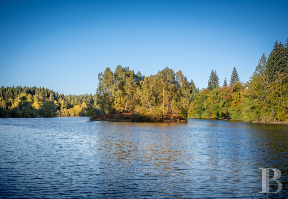 chateaux for sale France limousin   - 30