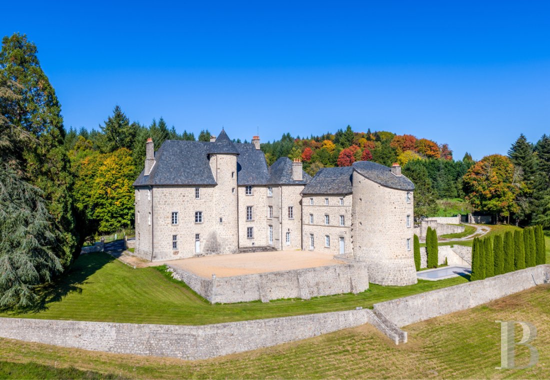 chateaux for sale France limousin   - 1