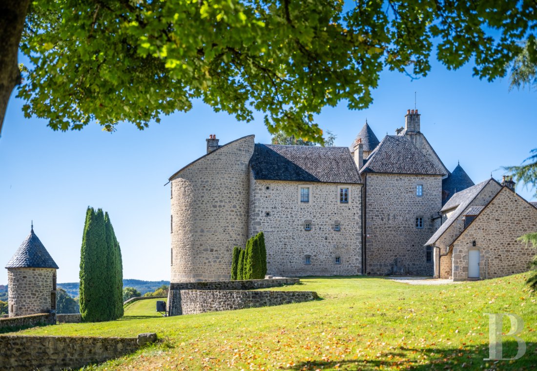 chateaux for sale France limousin   - 5