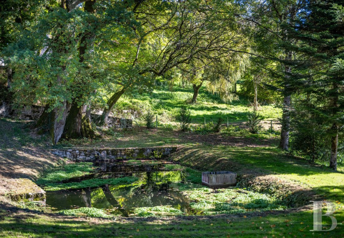 chateaux for sale France limousin   - 28