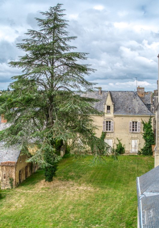 maisons de caractere a vendre pays de loire   - 14