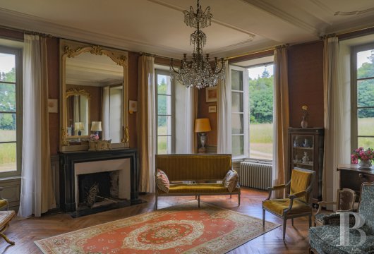 chateaux a vendre pays de loire   - 4
