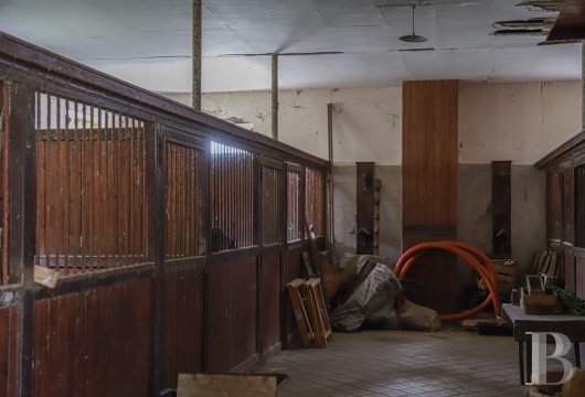chateaux a vendre pays de loire   - 14