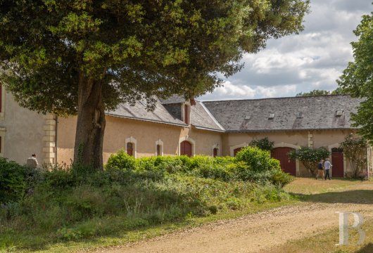 chateaux a vendre pays de loire   - 13