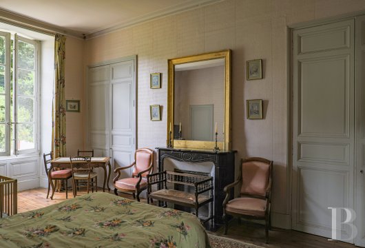chateaux a vendre pays de loire   - 11