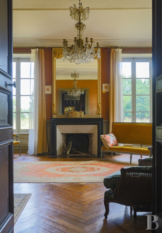 chateaux a vendre pays de loire   - 5