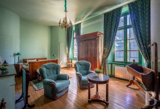 chateaux for sale France midi pyrenees   - 21