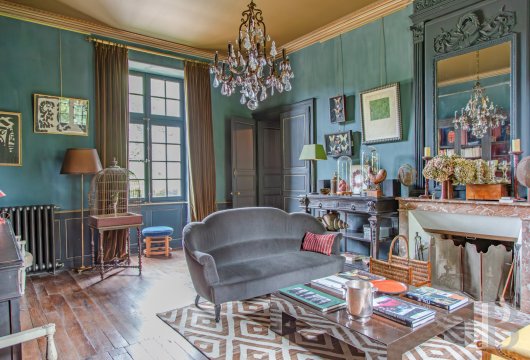 chateaux for sale France poitou charentes   - 4