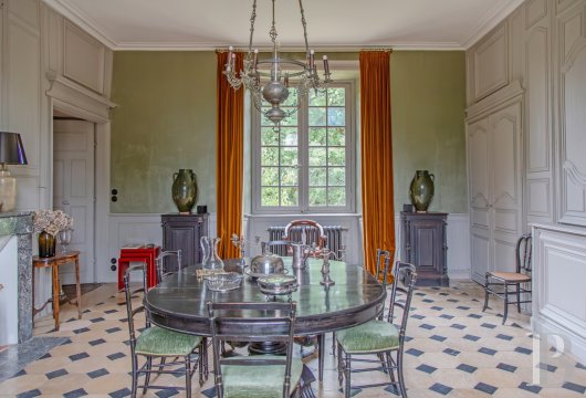 chateaux for sale France poitou charentes   - 6