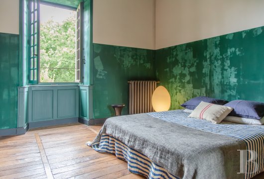 chateaux for sale France poitou charentes   - 10