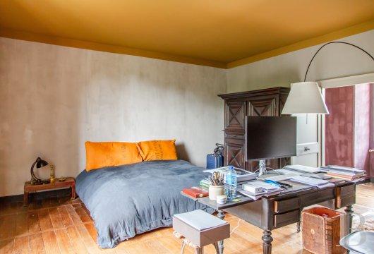 chateaux for sale France poitou charentes   - 9