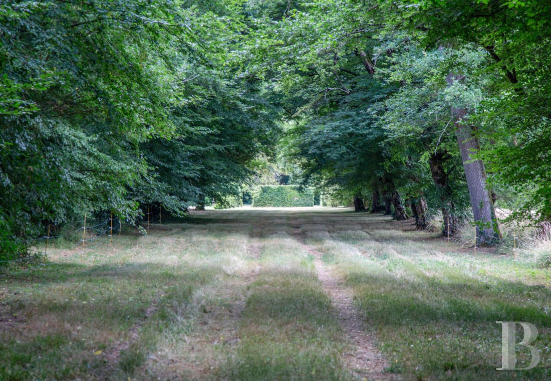chateaux for sale France poitou charentes   - 13