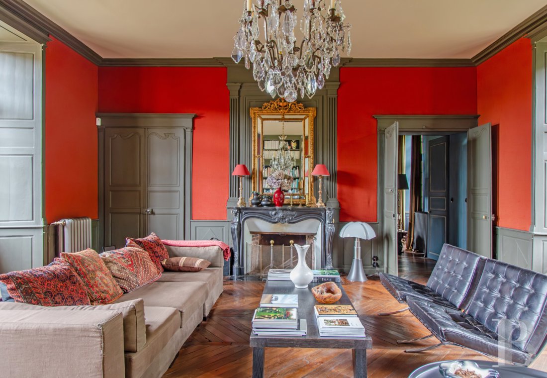 chateaux for sale France poitou charentes   - 3