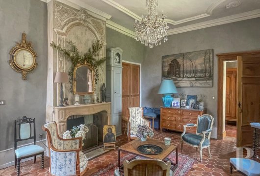 mansion houses for sale France burgundy   - 8