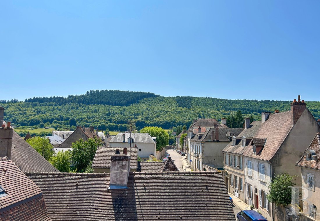 mansion houses for sale France burgundy   - 18