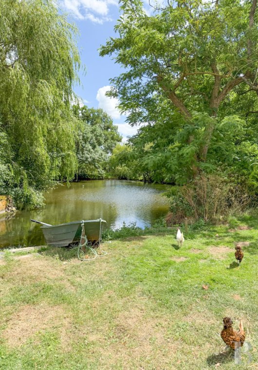 manoirs a vendre pays de loire   - 14