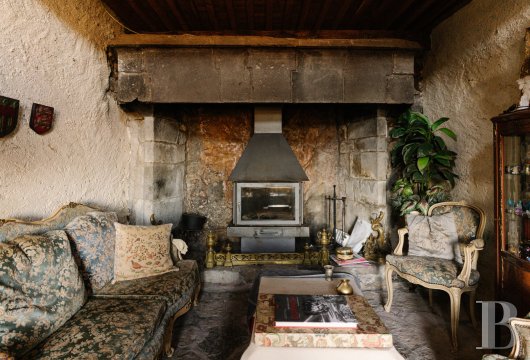 mansion houses for sale France auvergne   - 5