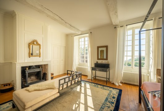 France mansions for sale midi pyrenees   - 12