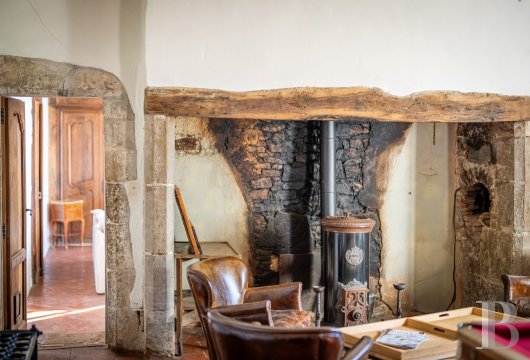 France mansions for sale midi pyrenees   - 7