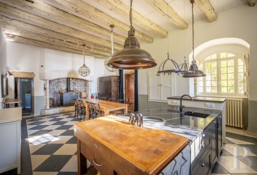 France mansions for sale midi pyrenees   - 8