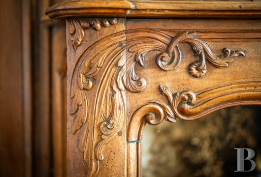 France mansions for sale midi pyrenees   - 5