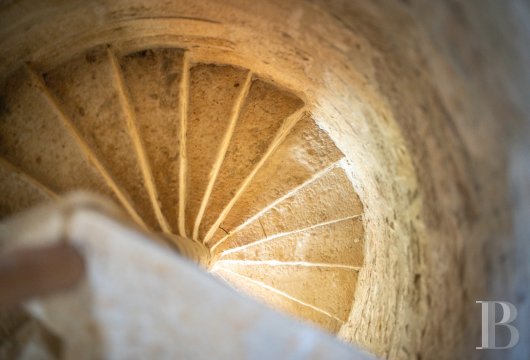 France mansions for sale midi pyrenees   - 14