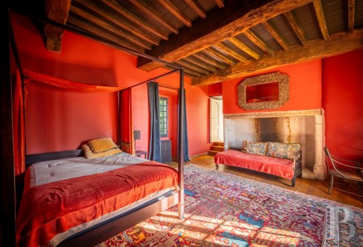 France mansions for sale midi pyrenees   - 13