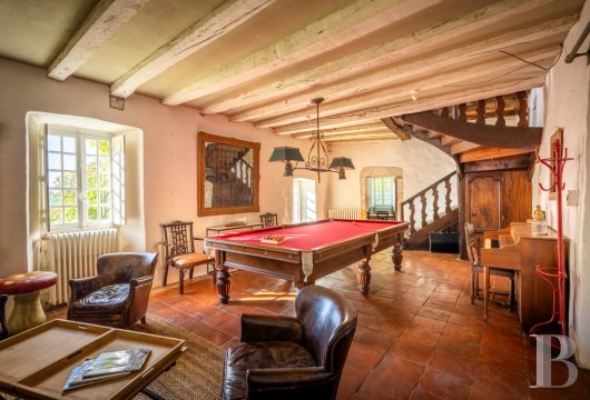 France mansions for sale midi pyrenees   - 6