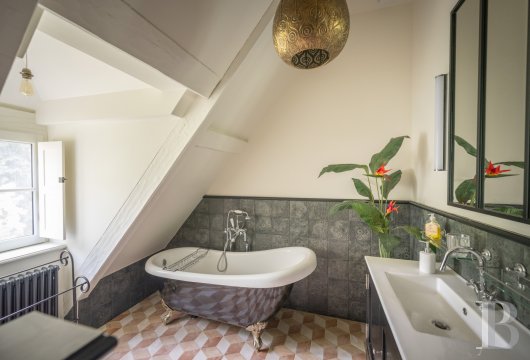 France mansions for sale midi pyrenees   - 19