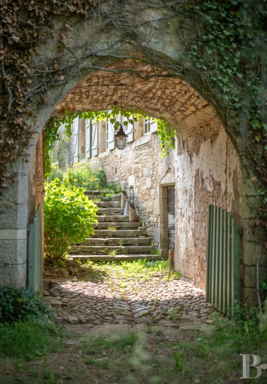 France mansions for sale midi pyrenees   - 22