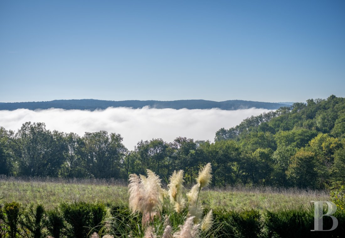 France mansions for sale midi pyrenees   - 25