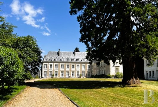 centre-val-de-loire - À 10 min d'Amboise, un château du 17e s. en partie rénové,  dans un parc de plus de 21 ha au centre d'un village