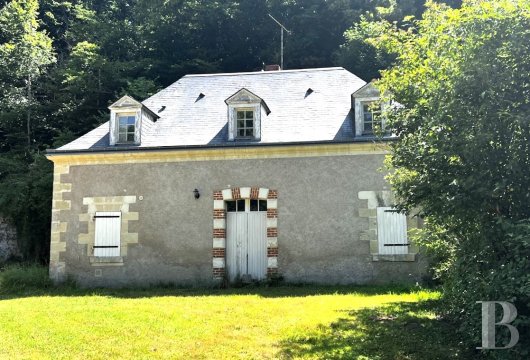 chateaux for sale France center val de loire   - 18