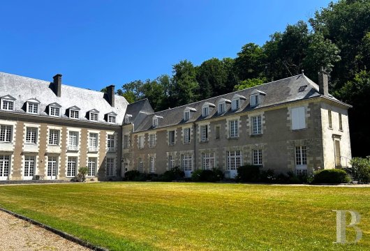 chateaux for sale France center val de loire   - 5