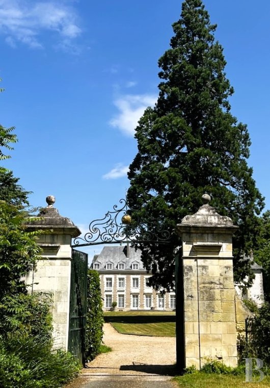 chateaux for sale France center val de loire   - 17
