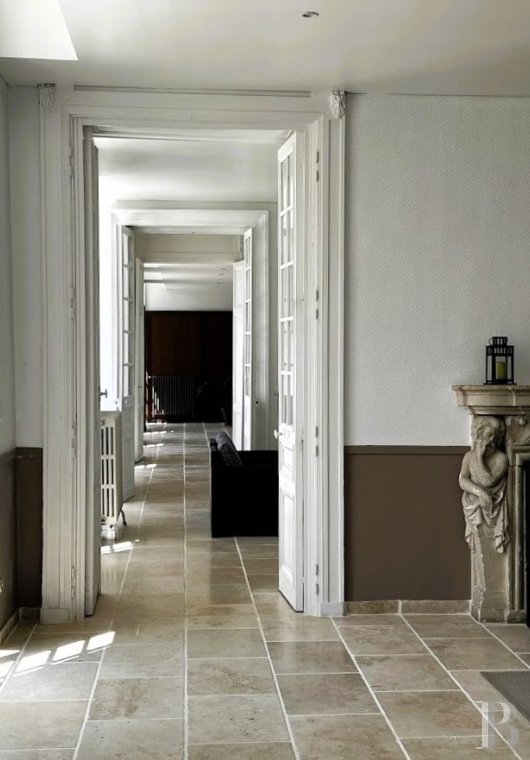 chateaux for sale France center val de loire   - 8