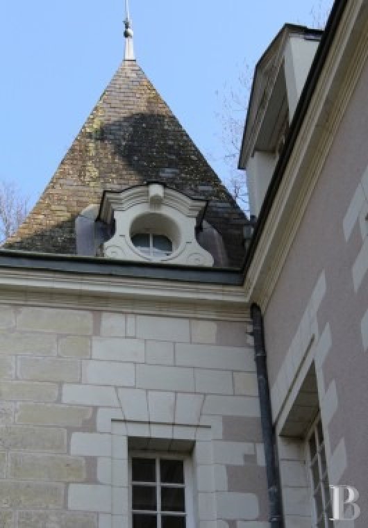 chateaux for sale France center val de loire   - 7