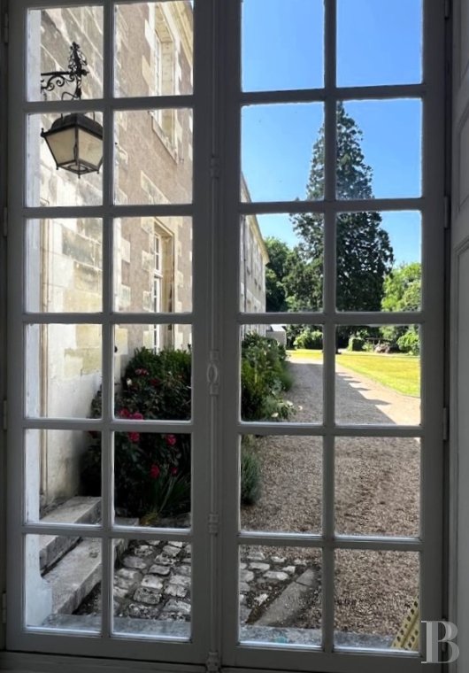 chateaux for sale France center val de loire   - 10