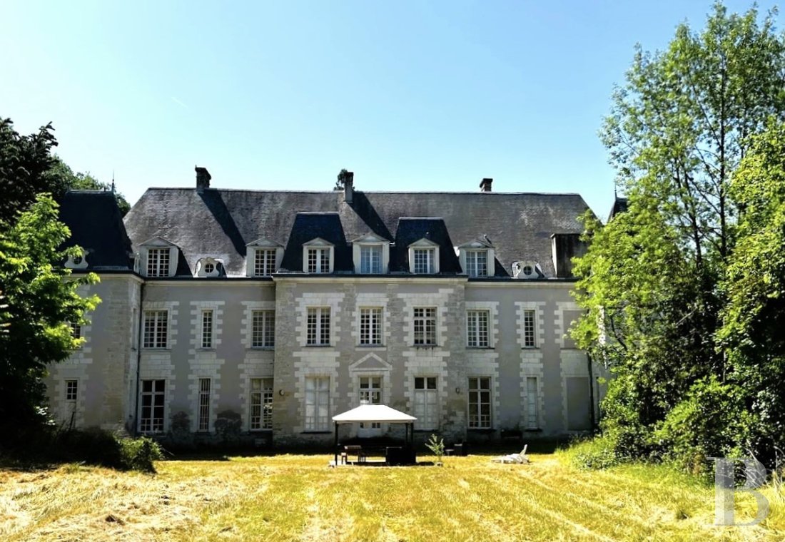 chateaux for sale France center val de loire   - 2