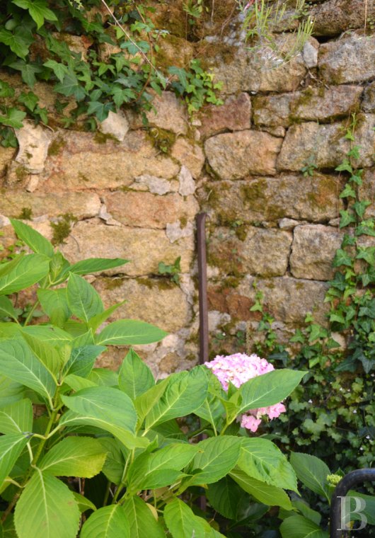 character properties France brittany   - 12