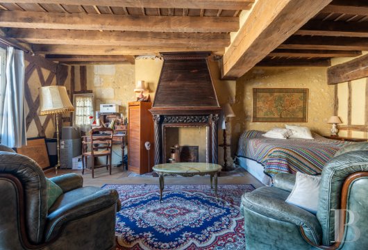 castles for sale France center val de loire   - 8