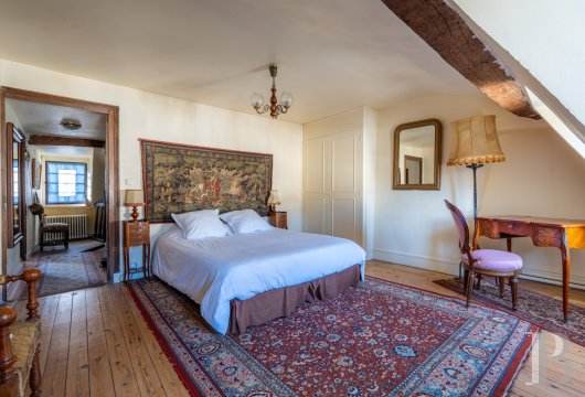 castles for sale France center val de loire   - 9