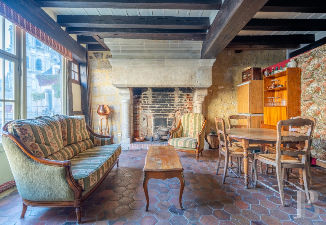 castles for sale France center val de loire   - 5