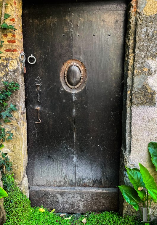 mansion houses for sale France aquitaine   - 14