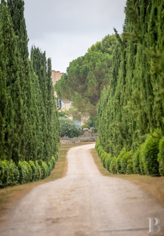 character properties France midi pyrenees   - 19