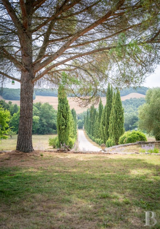character properties France midi pyrenees   - 20