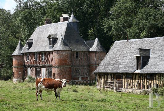 upper-normandy - A captivating 17th-century manor and its outbuildings, listed as Historical Monuments and   in need of a complete restoration, on enclosed grounds of nearly 3.5 hectares, less than two hours from Paris, in the Eure department